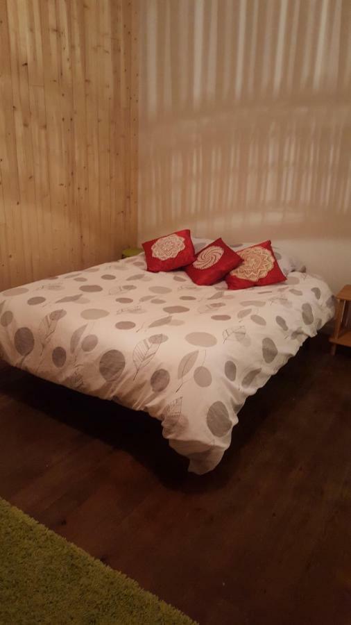 74 Rue Pasteur Apartment Lavelanet Luaran gambar