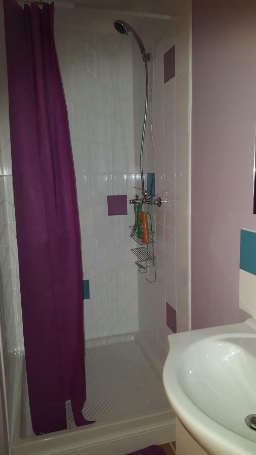 74 Rue Pasteur Apartment Lavelanet Luaran gambar